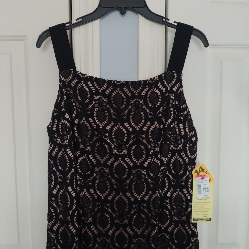 Adrianna Papell Black Lace Sheath Cocktail Dress With Neutral Lining. 14 - Picture 10 of 14
